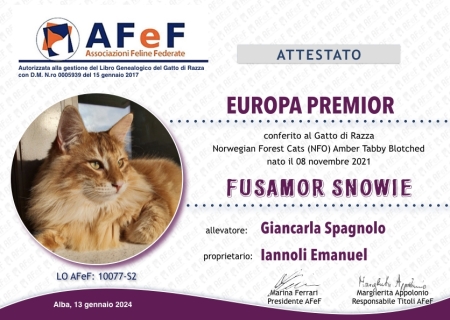 01-AFeF-CAPE-Iannoli-diploma-titoli-copia-2.001