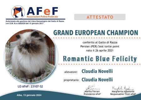 01-AFeF-GCACE-AFeF-Novelli-diploma-titoli-CAGCE-.001