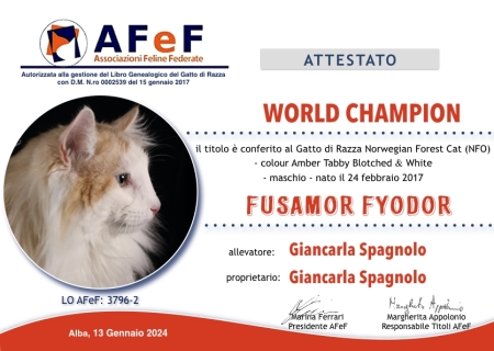 05-AFeF-CACM-Spagnolo-2023-1