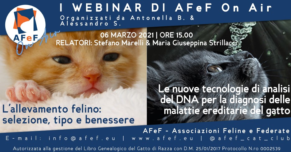 webinar afef associazione gatti razza marelli strillacci università milano